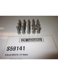 Remeha schroef M5x18mm 15 stuks S59141