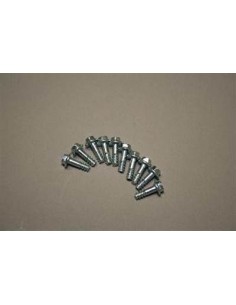 Nefit Schroef deur 10 stuks