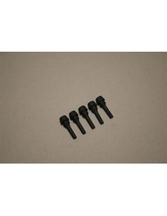 Nefit Rubber plug